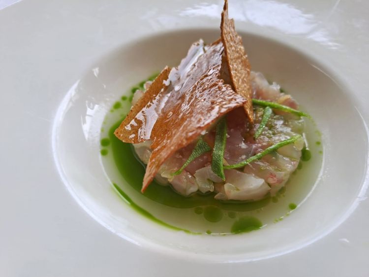 Tartare di cernia, sorbetto alla mela verde e sedano, acqua di cetriolo, olio alle foglie di fico, cialda di pane al pomodoro