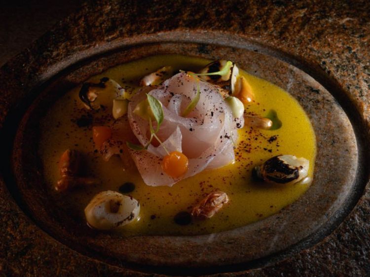 Ceviche ahumado: sashimi di ombrina con leche de t