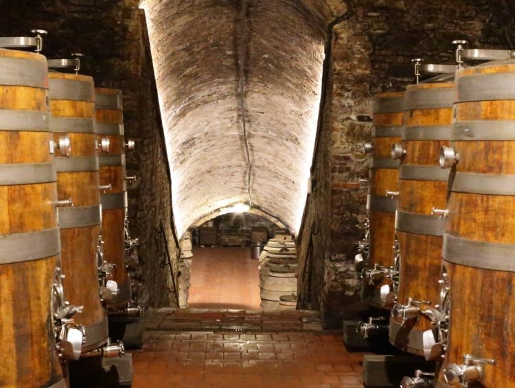 Uno scorcio della cantina
