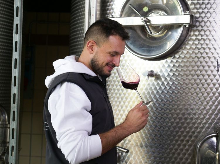 L'assaggio dei vini in cantina