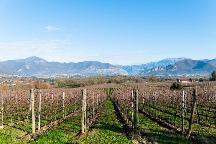 Bellezza franciacortina
