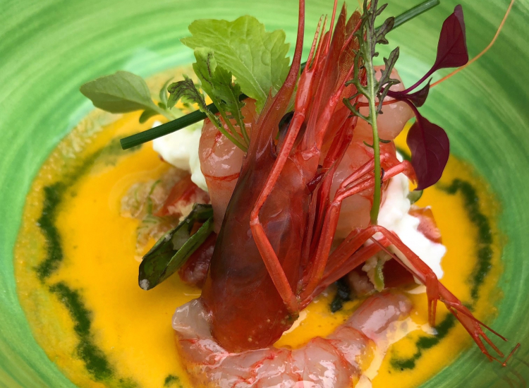 Panzanella, gazpacho, burrata, gamberi rossi