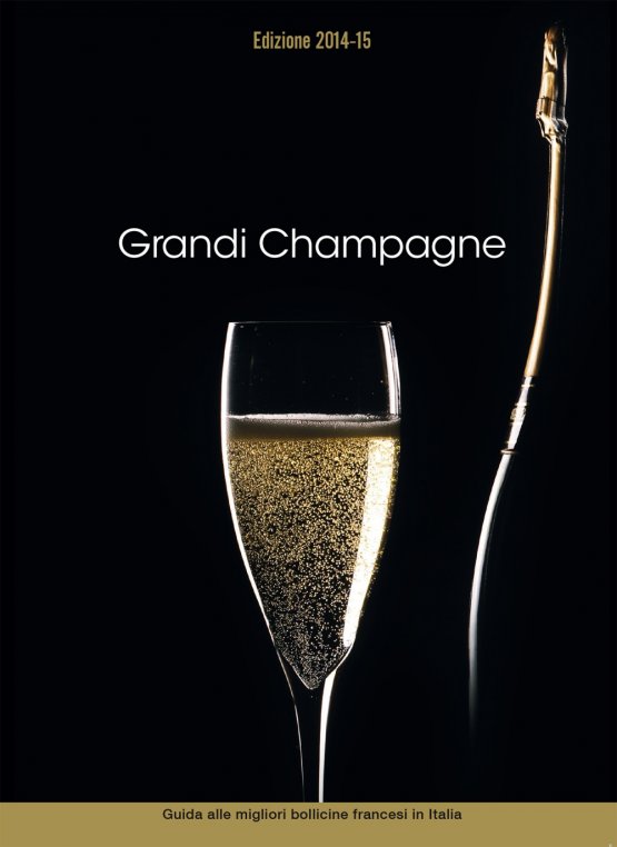 La copertina della seconda edizione della guida “Grandi Champagne”, 392 pagine, 17 euro. Si acquista su www.lemiebollicine.com e si trova nelle Librerie Mondadori