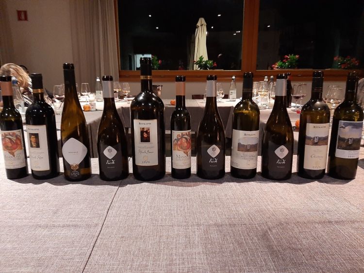 La degustazione al Maso Franch