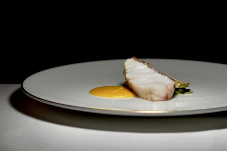 Cernia di scoglio con cuore di lattuga e salsa allo zafferano, sorprendente