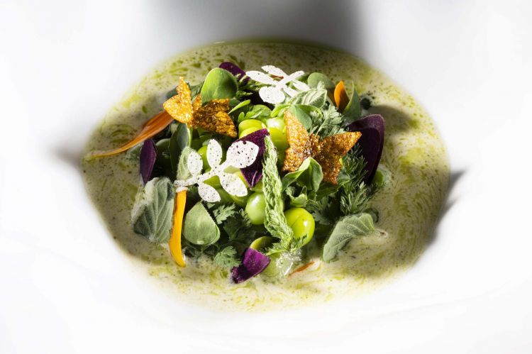 Insalata di piselli, fave alla brace, acetosella e menta
Il piatto è chiamato così per brevità ma somma più ingredienti, dalla salsa di tahine, lime, zaatar con olio di sesamo tostato e olio di menta a tutte le erbe e acetose che cambiano a seconda di quel che un orto regala nelle sue incostanze stagionali. Balsamico, mentolato, di sapori vivaci, esprime bene il rapporto tra patronne e cuoco: lei acquista le verdure dai contadini (specialità pluridecennale), lui le trasforma con attenzione a freschezza e acidità complessive
