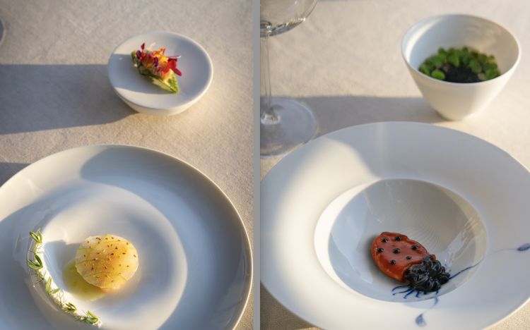 Scampi, mela e finocchio e Seppiola al nero e ajvar