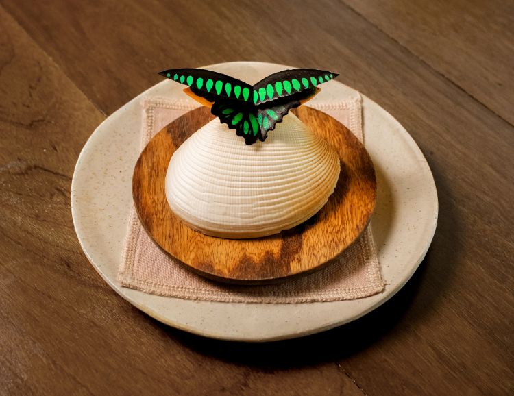 Un favoloso boccone ispirato alla farfalla nazionale di Malesia (Raja Brooke’s Birdwing, originaria del Borneo). Lo compongono un cracker di belinjau servito con pasta di labu siam (Sicyos edulis) e bambangan salato (Mangifera pajang) e una decorazione di cuoio di Keranji, isole Perenthian