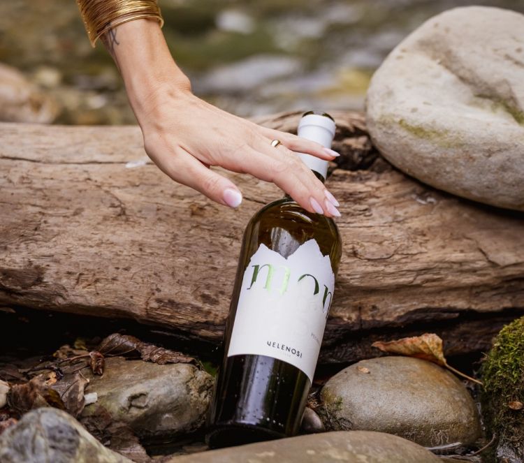 Montagna&nbsp;di&nbsp;Velenosi
