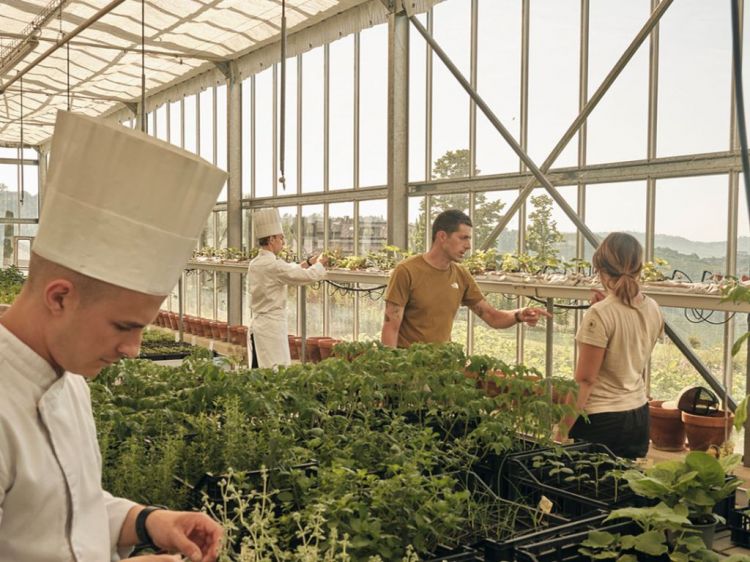 L'orto del ristorante da cui parte tutto. Foto Marco Varoli
