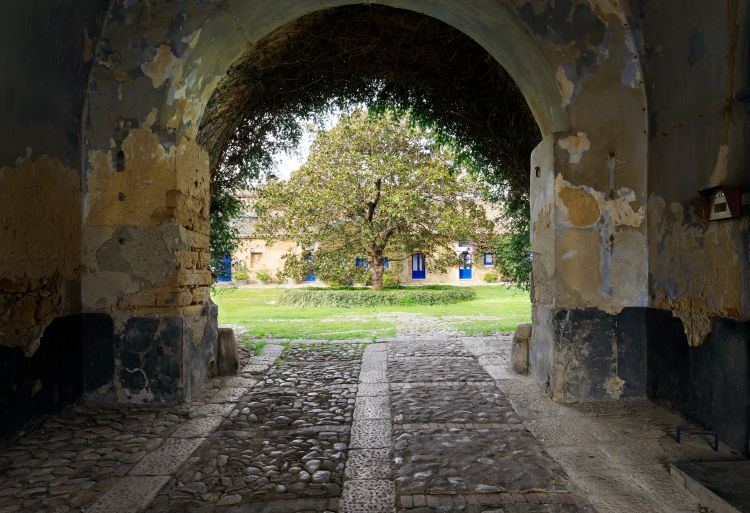Un'immagine simbolo di Tasca d'Almerita (Foto di Benedetto Tarantino)