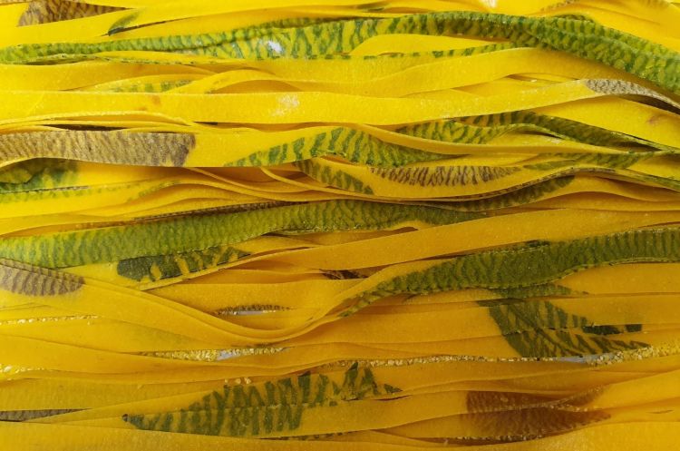 Experiments with pasta