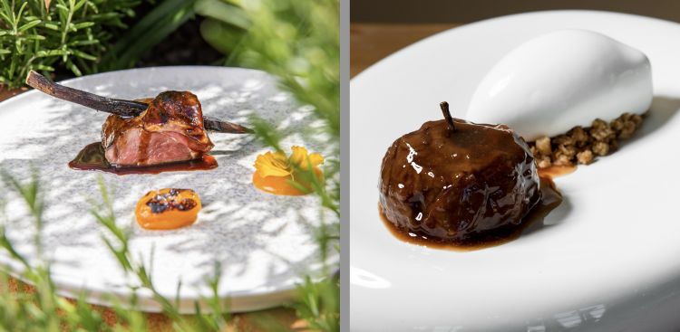 Agnello steccato alla liquirizia e albicocche in conserva
Agnello saporito, la liquirizia che avvolge e sorprende e le albicocche che portano la dolcezza oltre l&rsquo;orizzonte.

Mela, gelato al latte di pecora e frangipane
Chiusura che parla di casa, di dolcezza tangibile, di un Abruzzo che si lascia assaporare fino all&rsquo;ultimo istante.
