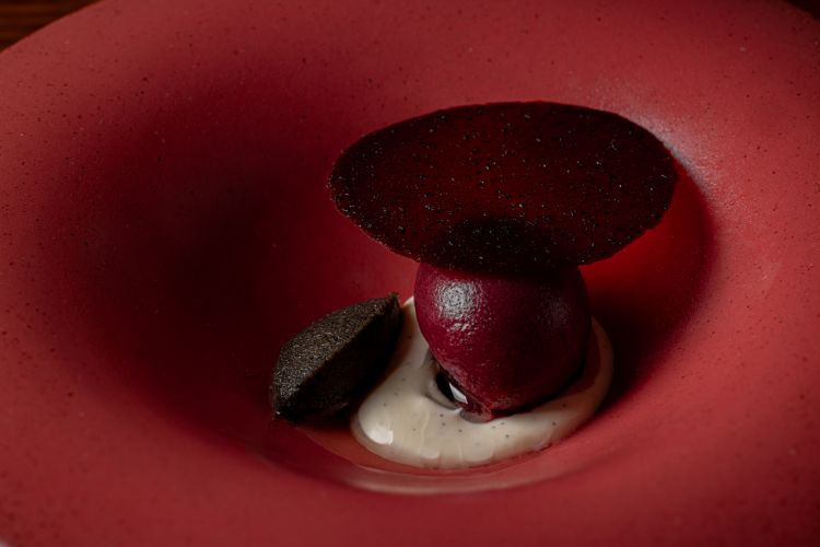 Sorbetto di cherry cola, baba ganush alla liquirizia, crema alla vaniglia e shiitake, succo di ciliegia caramellato (Justin De Souza)