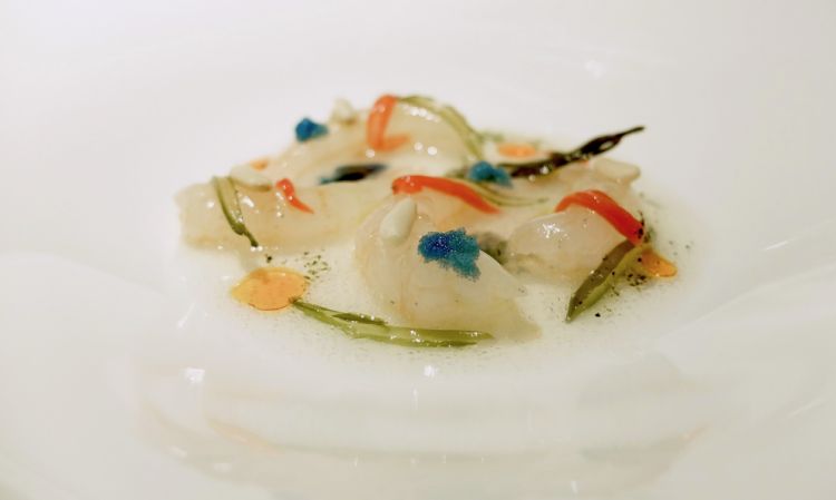Gamberi gobbetti, le loro uova, succo di conchiglie (vongole e lupini), finocchio marino dell'oasi Wwf, pinoli tostati