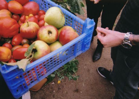 Fruits and vegetables from the nearby farms
