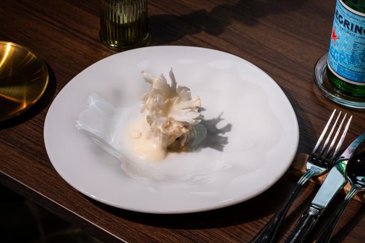 Stoccafisso, purea di limone e cavolfiore