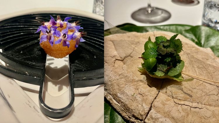 Ogni menu di Trésind Studio ha una sola costante: il servizio di un Pani Puri al principio (a sinistra), in questo caso con lime dolce frizzante, foglie di tagete e pera, un boccone magnifico dalla scorza croccante e contenuto liquido. A destra Papadum di shiso, con yogurt cremoso ed erbe del giardino, il primo assaggio della parte dedicata al "Deserto Thar", un insieme di tradizioni di cucina dominate dall'aridità e dall'ingegno che costringe a concepire piatti con poca quantità d'acqua, l'utilizzo frequente di latte, latticello e burro ma anche piante erbacee come i cactus, neem, khejiri, ibisco, e preparazioni come chutney, launji, chhunda o pickles. Mondi sconosciuti a un palato occidentale