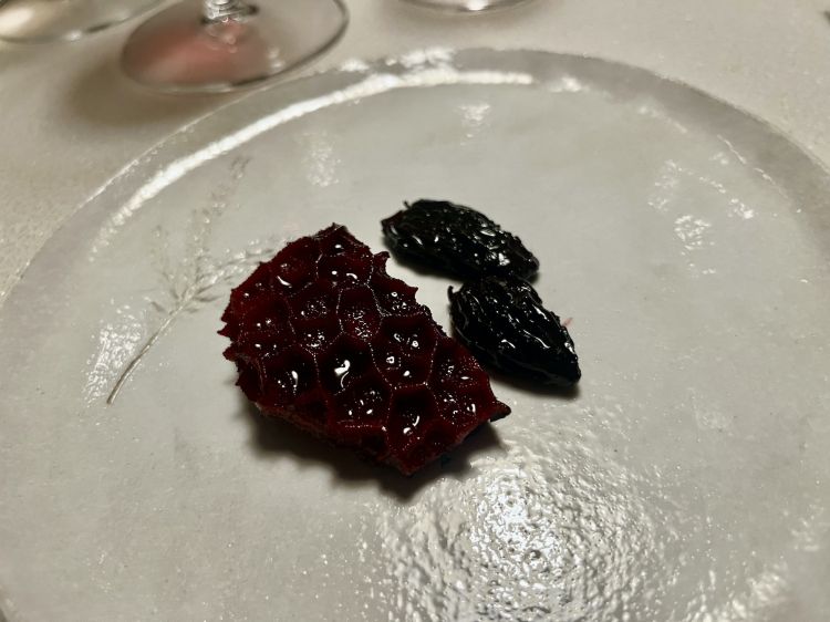 Trippa, spugnole, melograno e barbabietola
Trippa e spugnole, che meraviglia! Un piatto selvatico, terragno, acido, minerale, dolce-amaro. La foto è respingente ma che importa se il palato ne vuole ancora e ancora?