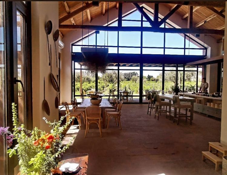 La sala del ristorante Zonda: moltissima luce, si è separati dal vigneto e dall’orto solo dal vetro, vegetali ovunque, un ambiente arioso, accogliente, rustico-elegante, piacevolissimo
