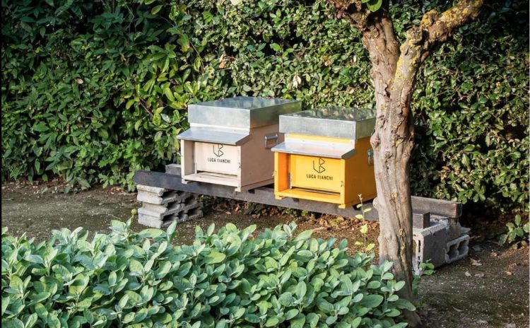 Le arnie per il miele di Andreina, realizzate in collaborazione l'azienda biologica Luca Bianchi 
