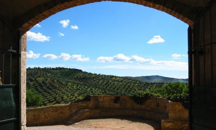 Uno scorcio della Tenuta La Marsiliana