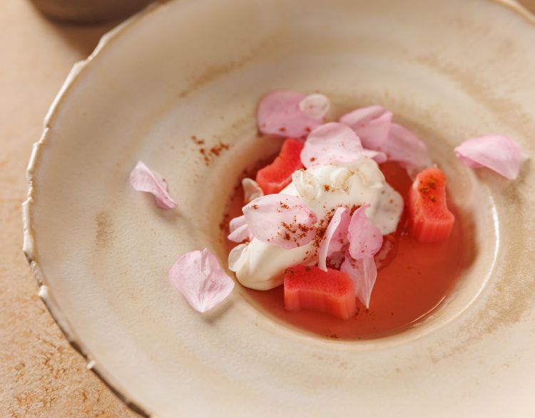 Ricotta e rabarbaro
