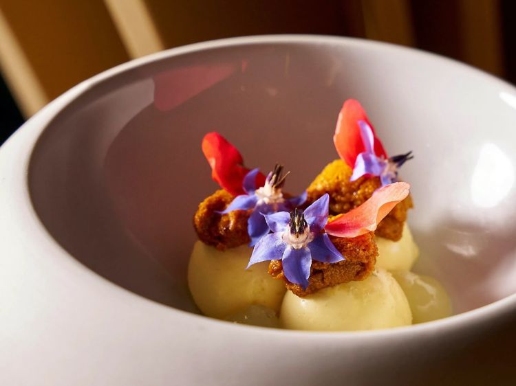 Bavarese al lime, riccio di mare, gelatina
Bavarese al cioccolato bianco e lime, accompagnata da gel di yuzu e baffa di riccio giapponese (uni). Il percorso si conclude con un dessert originale e sorprendente, nel quale la dolcezza del cioccolato bianco si fonde armoniosamente con la sapidità del riccio di mare e la vibrante freschezza dello yuzu. Un finale elegante, capace di lasciare un piacevole ricordo senza risultare eccessivamente dolce.