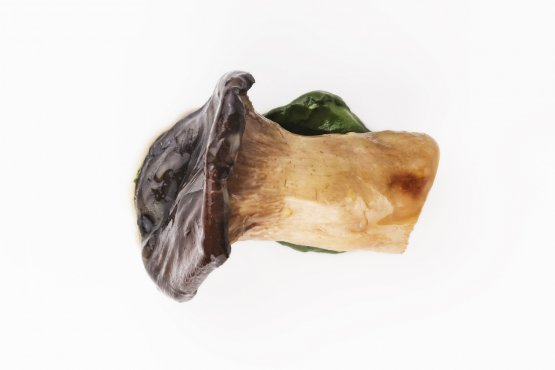 Cardoncello mushroom and parsley
