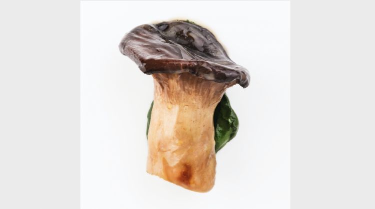 Roasted cardoncello mushroom and parsley (2016)

