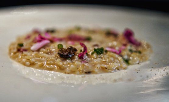 Risotto alle rose antiche mantecato al parmigiano di montagna e ginger, verza arrostita ed erba cipollina (foto Luca Managlia)
