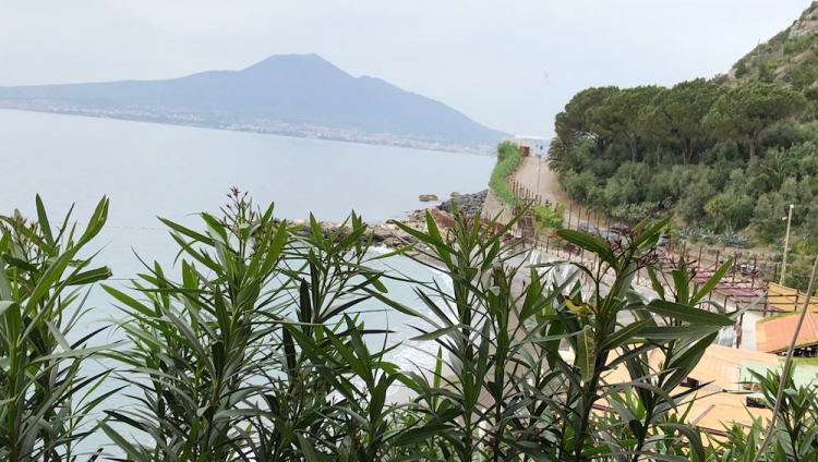 La vista dal ristorante alla spiaggia...