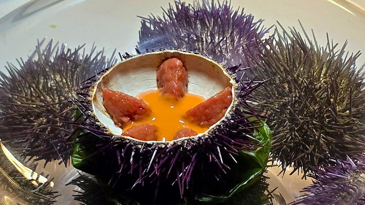 Fassona con ricci di mare e pomodoro alla pizzaiola