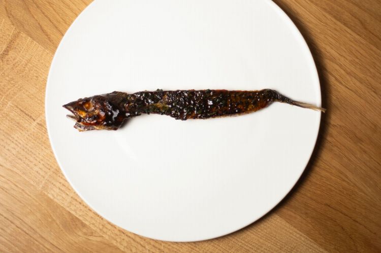 Antonio Ziantoni (Zia, Roma) è arrivato per servire nel piatto un magnifico Sgombro con salsa barbecue e del levistico infuso nell'olio. Un inno al fuoco e alla cucina espressa, quella che non si fonda su precotture: "E' un piatto specchio del tipo di cucina che facciamo", spiegava, "perché tocchiamo appena l'ingrediente, che deve rimanere sempre riconoscibile". E Modena? "E' un sogno: quando ha chiamato Massimo pensavo fosse uno scherzo"
