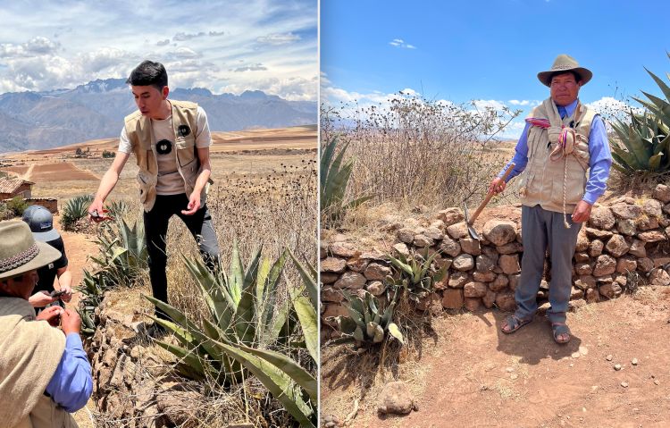 L'esperienza a Moray comprende la Mil Immersion, che parte dalle prime ore del mattino: prima di sedere a tavola si esplorano le proprietà delle piante dei dintorni. A sinistra nella foto, l'esperto di erbe, radici, piante medicinali e maestro distillatore Manuel Contreras, autore di liquori, distillati e cocktail andini speciali. A destra Efrain, detto Efra, della comunità andina locale. Conosce la funzione di ogni singola pianta: proprietà mediche, cosmetiche, estetiche o commestibili di specie versatili e tenaci
