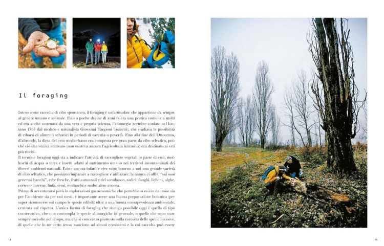 Valeria Margherita Mosca è anche fondatrice del laboratorio Wood*ing wild food lab