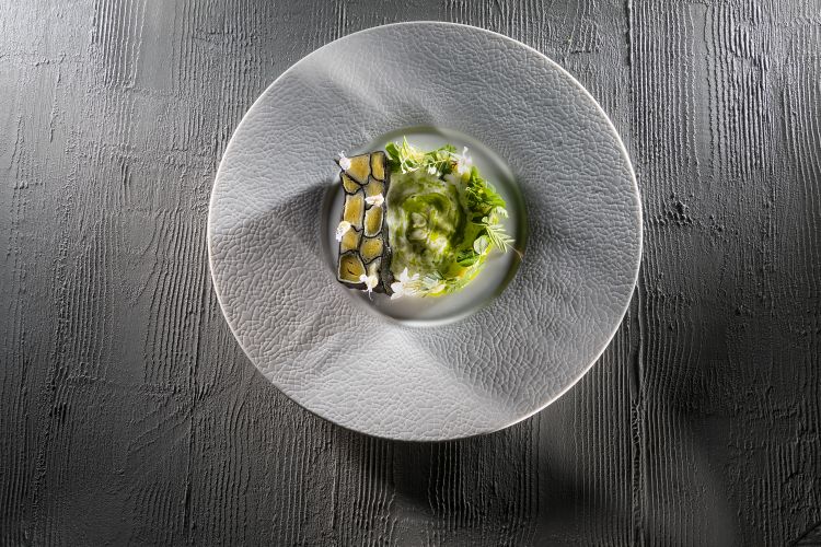 Terrina di alga nori e porri, salsa Gubet, finocchietto, erbe di campo e purea di patata
