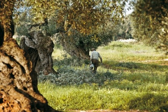 La natura, l'uomo, il lavoro: tre tasselli sui qua