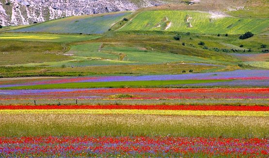 Un'immagine, tratta dal sito del Rifugio Perugia, 