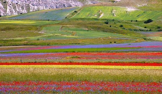 Un'immagine, tratta dal sito del Rifugio Perugia, 