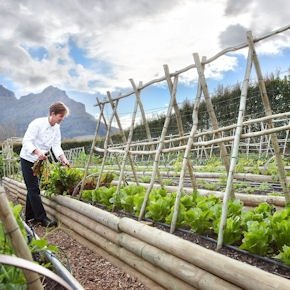 Christiaan Campbell, born and raised in Cape Town, has a very large vegetable garden, inside the estate, at his disposal