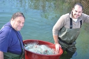 Vito e Paolo Sacco, padre e figlio, pescatori di anguille