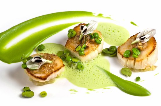 Scallops and peas at The Square in Mayfair
