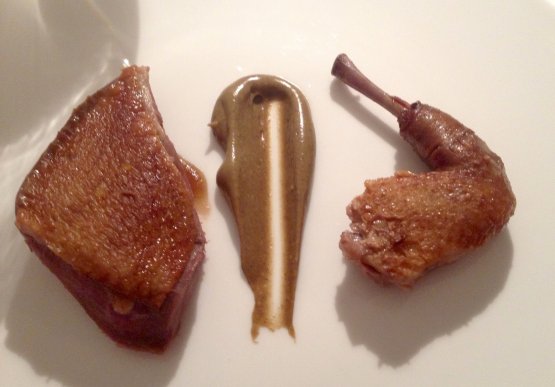 Fondant pigeon and pistachio, a great dish in the menu of Reale-Casadonna in Castel di Sangro (L'Aquila), 3 Michelin stars