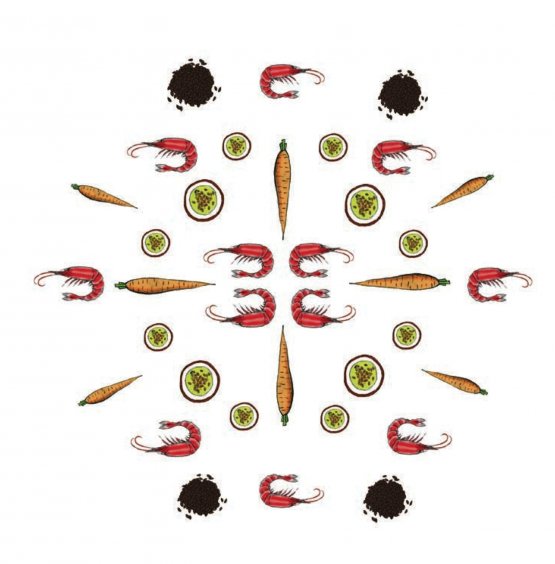 Una delle dieci illustrazioni di Gianluca Biscalchin, qui alla prova con i Gamberi Rossi, carota, acqua di riso venere, frutto della passione 