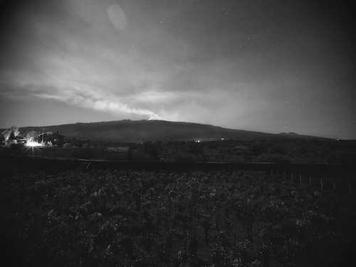 Grapes around the volcano