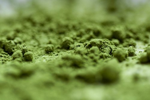 Polvere di tè verde Matcha, pilastro dell'antico 