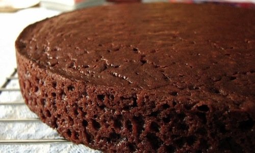 Torta al cioccolato e cocco fatta con lievito natu