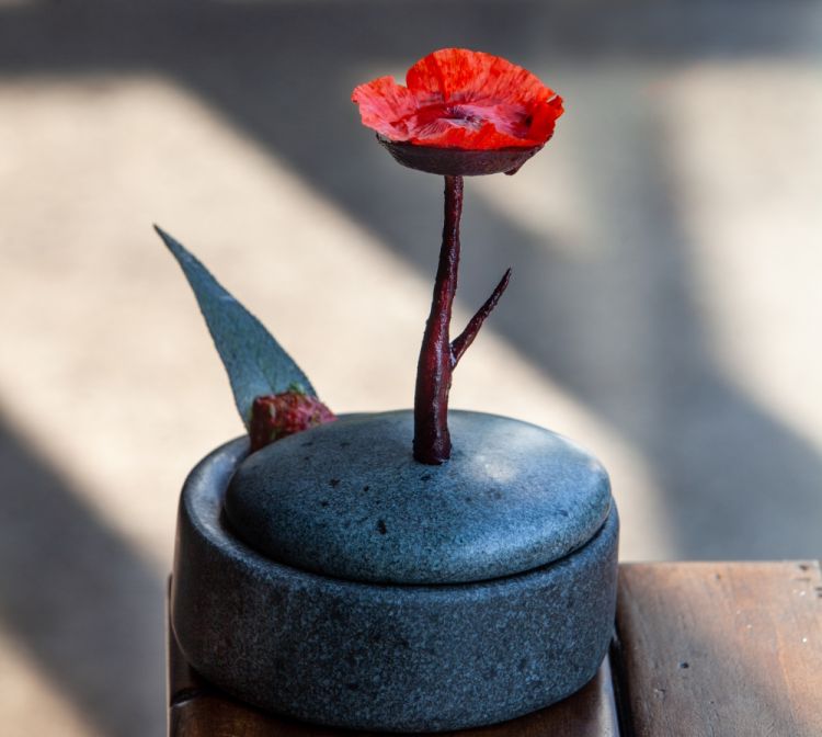 Una brezza mattutina in campagna - Papavero, pebre di pomodoro rosa e le ultime ciliegie dell'estate
