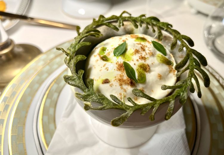 Polpa di pomodoro, mozzarella di bufala e basilico